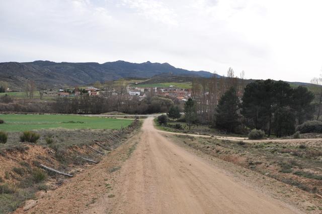 MIRONCILLO