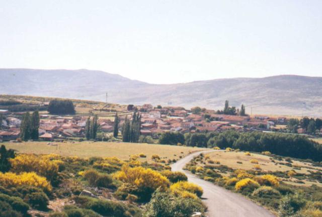 NAVADIJOS