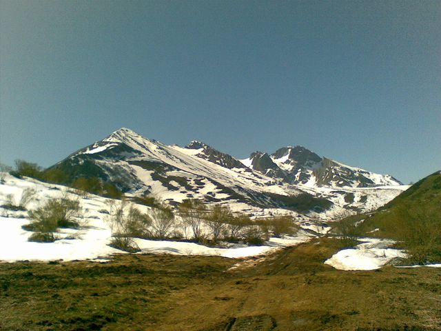ACEBEDO